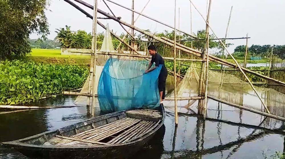 আবাধে চলছে মা মাছ ও পোনা নিধন