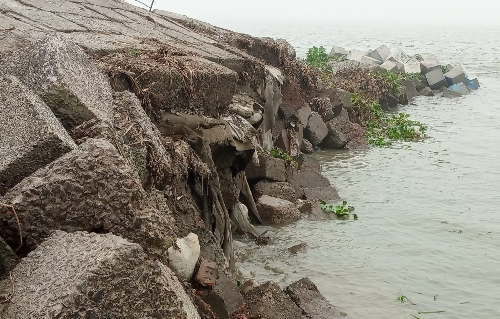 চাঁদপুর শহর রক্ষাবাঁধে হঠাৎ ধ্বস