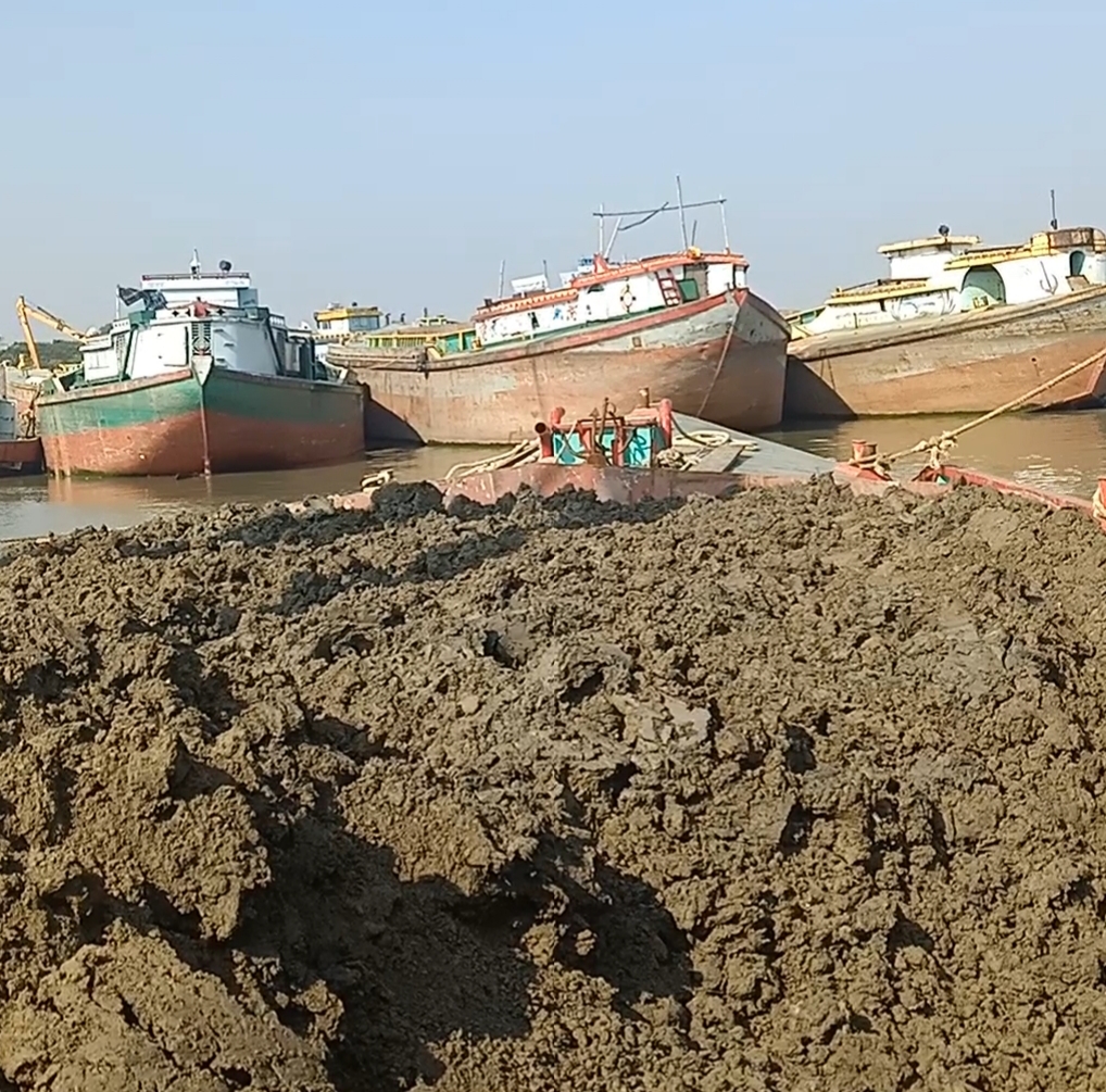 ইব্রাহিমপুর চরে কৃষি জমি নষ্ট করে বিক্রি হচ্ছে মাটি