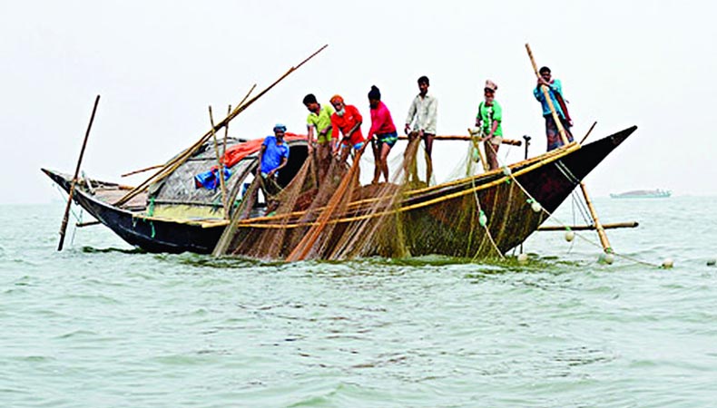 চাঁদপুরের নদীতে ইলিশ নেই ॥ নানামুখী সঙ্কটে অর্ধলক্ষ জেলে পরিবার  