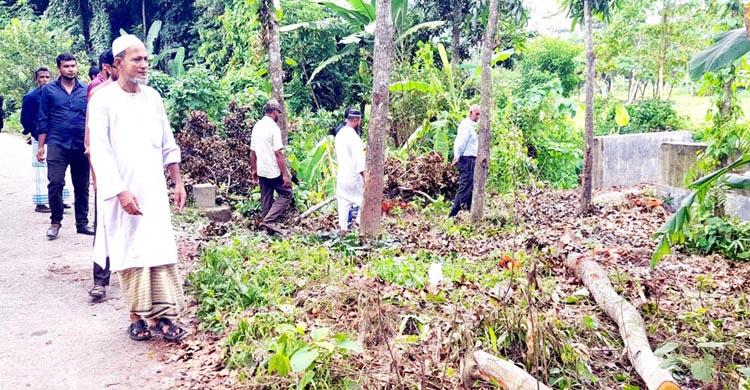 স্কুল শিক্ষকের বিরুদ্ধে সরকারি গাছ চুরির অভিযোগ  