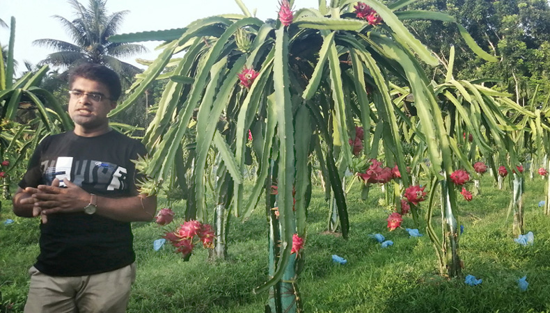 ড্রাগনে নতুন স্বপের হাতছানি