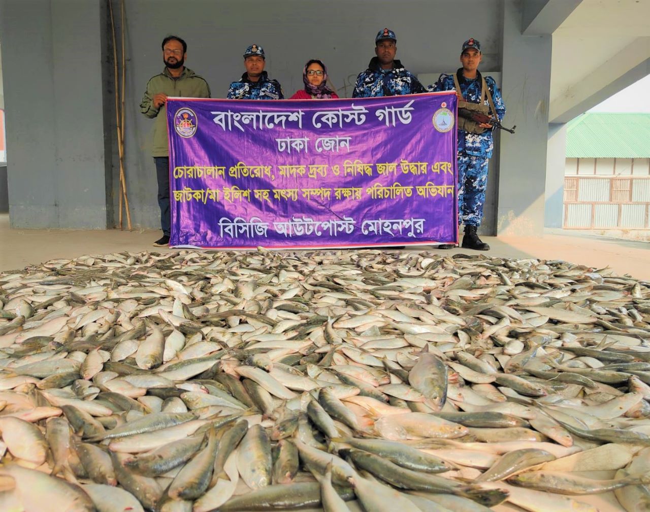 চাঁদপুরে কোস্ট গার্ডের অভিযানে ৩০ মণ কেজি জাটকা ইলিশ মাছ জব্দ