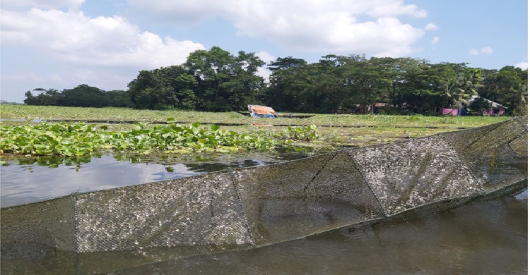 ডাকাতিয়ায় বন্ধ হয়নি অবৈধ প্রক্রিয়ায় মাছ শিকার