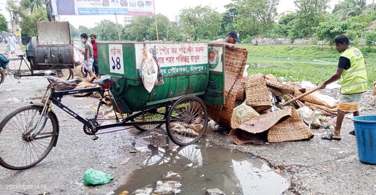 ৬ ঘন্টায় চাঁদপুর শহর এলাকায় কোরবানি পশুর বর্জ্য অপসারণ  