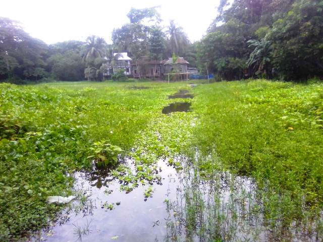 শ্রীনগরে মুষলধারে ধারাবাহিক বৃষ্টির ফলে নিম্নাঞ্চল প্লাবিত জন দুর্ভোগ