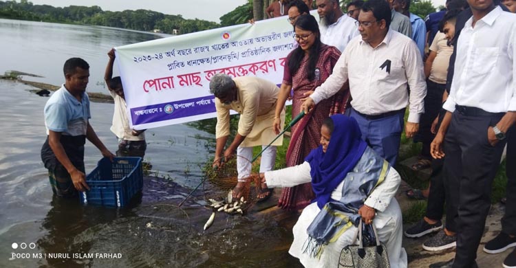 ফরিদগঞ্জে মাছের পোনা অবমুক্তি 