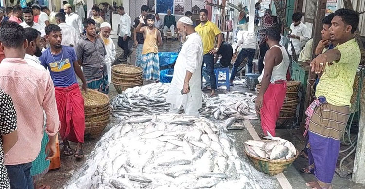 অনিয়মের আখড়া চাঁদপুর মাছঘাট