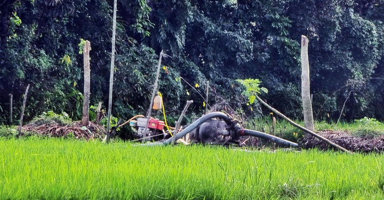 ফরিদগঞ্জে কৃষিজমি হুমকিতে ফেলে ড্রেজার দিয়ে বালি উত্তোলন  