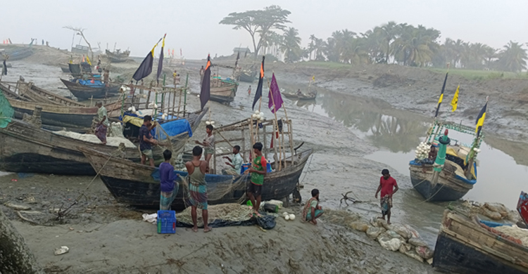 হাইমচরে জাটকা রক্ষা অভিযানের ন্যায় মা ইলিশ রক্ষা অভিযান যেনো না হয়   