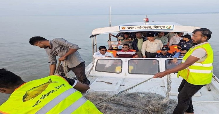 একদিন পরই উঠে যাচ্ছে ইলিশ ধরার উপর নিষেধাজ্ঞা