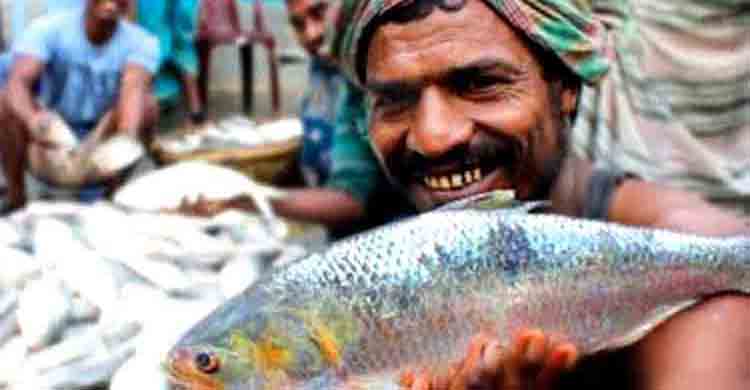 ইলিশ ধরায় নিষেধাজ্ঞা শেষে ফের নদীতে জেলেরা