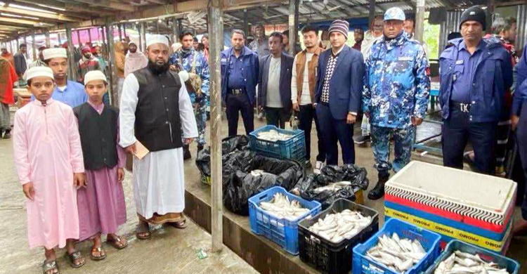 চরভৈরবী আড়তে সম্মিলিত সাঁড়াশি অভিযানে বিপুল পরিমাণ জাটকাসহ আটক ২