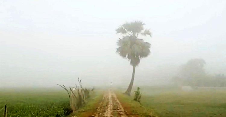 রাতে বাড়বে শীত, বহু জেলায় শৈত্যপ্রবাহ