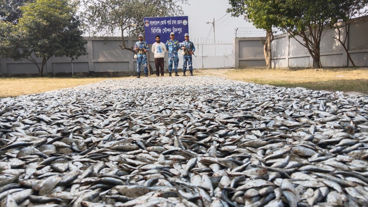 চাঁদপুর নৌ পুলিশের অভিযানে ১১২ মণ জাটকা জব্দ, আটক ৪০ জন