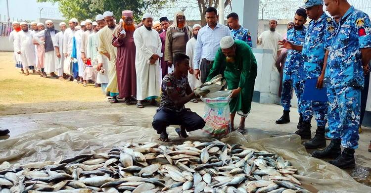 মেঘনায় ট্রলার হতে ১২৭ মণ ইলিশসহ জাটকা জব্দ করেছে কোস্টগার্ড  