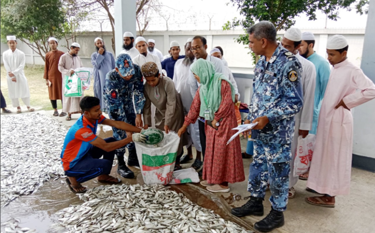 মেঘনার বোরোচর থেকে কোস্টগার্ড কর্তৃক  ৭০ মণ জাটকা জব্দ