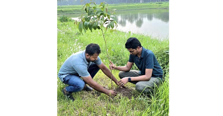 ছাত্রলীগের গাছের চারা রোপণ  