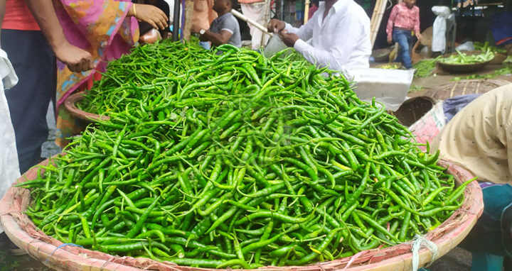 দাম কমল কাঁচা মরিচের