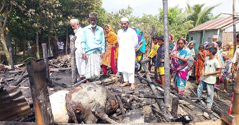 চাঁদপুর রাজরাজেশ্বর চরে কৃষকের গোয়াল ঘরে অগ্নিকাণ্ড : ৩টি গবাদি পশুর মৃত্যু, ৬টি দগ্ধ