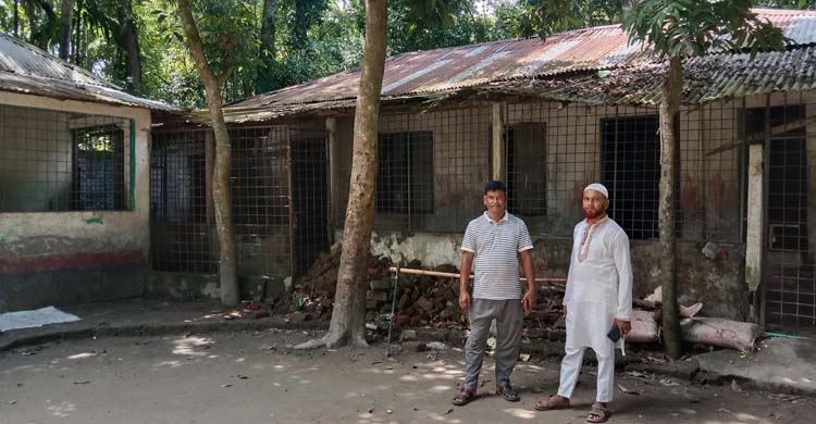 সুনামের সাথে চলে আসছে পশ্চিম সকদী বোরহানুল উলুম হাফেজিয়া মাদ্রাসা ও এতিমখানা  