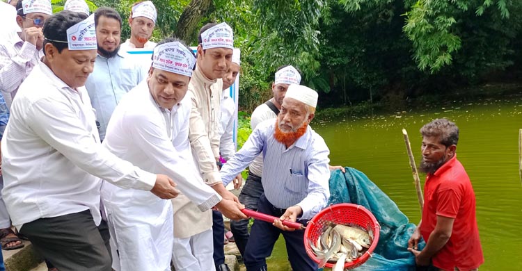 কচুয়ায় জাতীয় মৎস্য সপ্তাহের উদ্বোধন   