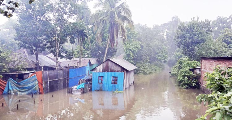 ফরিদগঞ্জে টানা বৃষ্টিপাতে জনদুর্ভোগ চরমে  