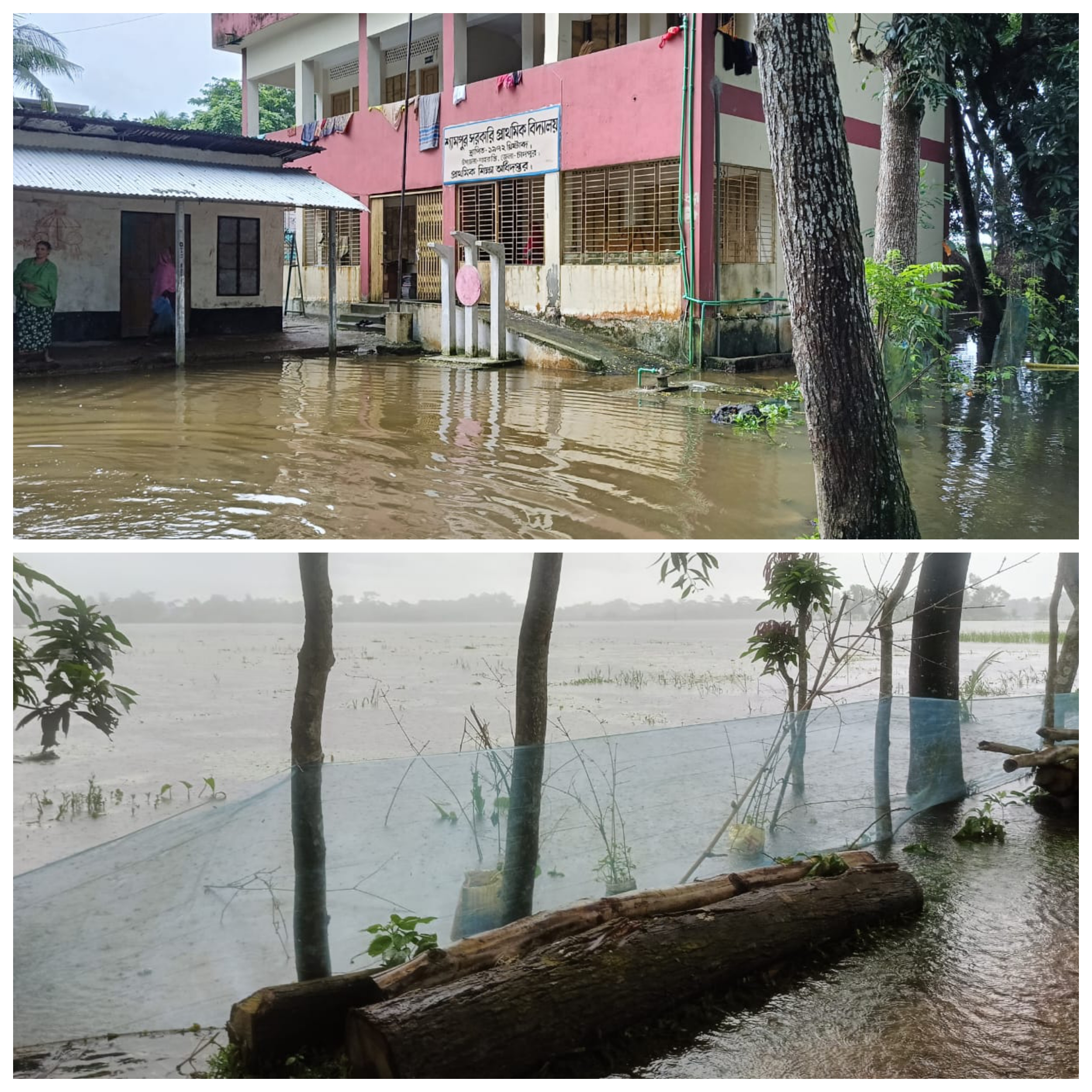 শাহরাস্তিতে বন্যা পরিস্থিতির ভয়াবহ রূপ ধারণ