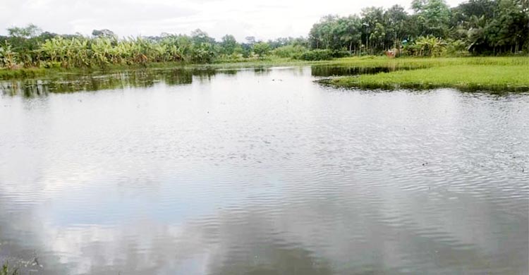 মেঘনা-ধনাগোদা সেচ প্রকল্পে জলাবদ্ধতা ॥ উৎপাদন বিপর্যয়ের শঙ্কা  