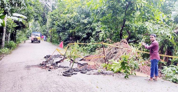 জলাবদ্ধতায় মাছ, ধান, শাক-সবজি, রাস্তার ব্যাপক ক্ষয়-ক্ষতি  