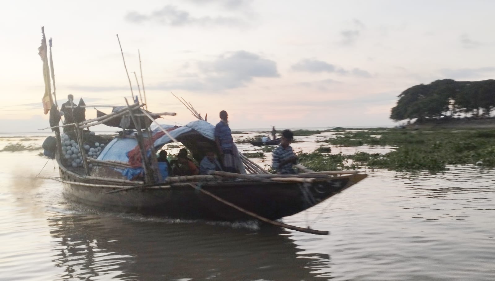 চাঁদপুরে ভরা মৌসুমে ইলিশের ঘাটতি, দামও চড়া