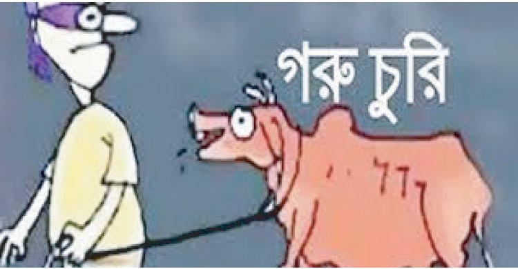 গরু চোর  