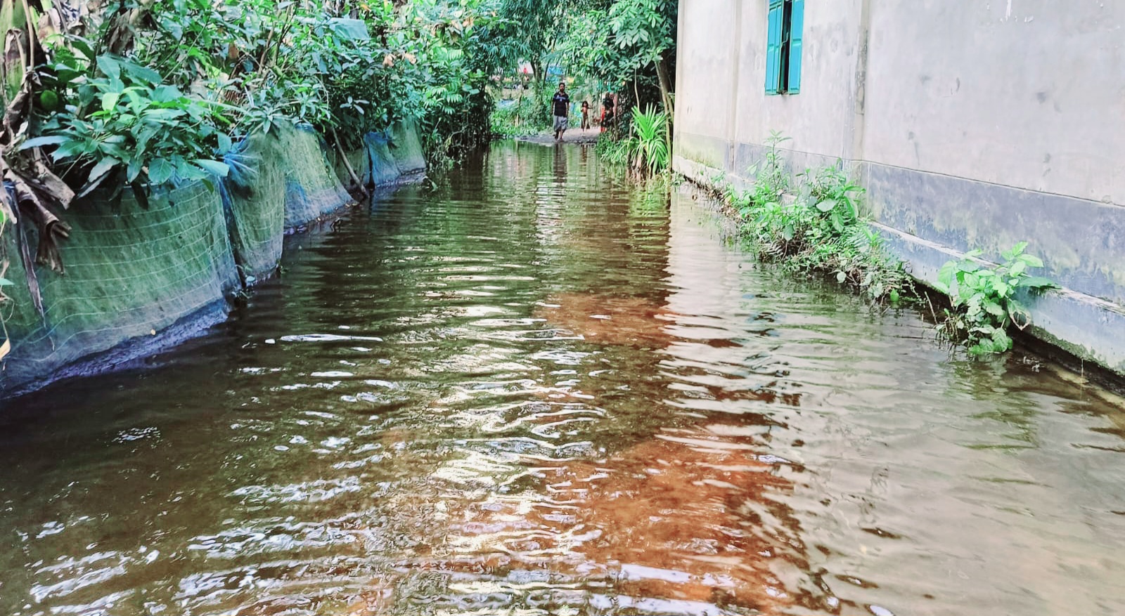 শাহরাস্তিতে দ্বিতীয় দফায় বন্যার আশঙ্কা