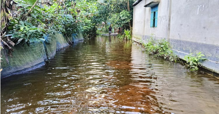 শাহরাস্তিতে দ্বিতীয় দফা বন্যার আশঙ্কা  