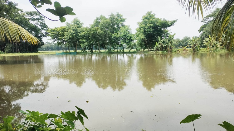 চলতি মৌসুমে মেঘনা-ধনাগোদা সেচ প্রকল্পে বার বার জলাবদ্ধতা  