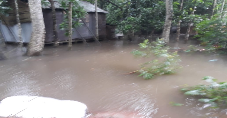 দুদিনের ভারী বর্ষণে শ্রীনগর নিম্নাঞ্চল  প্লাবিত