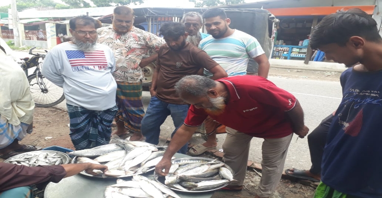 শ্রীনগরে ইলিশ মাছের দাম ক্রেতাদের  নাগালের বাইরে