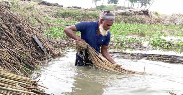 সোনালী আঁশ  পাট ও পাট  জাতদ্রব্য কে  বাঁচাতে সরকারের উদ্যোগকে স্বাগত