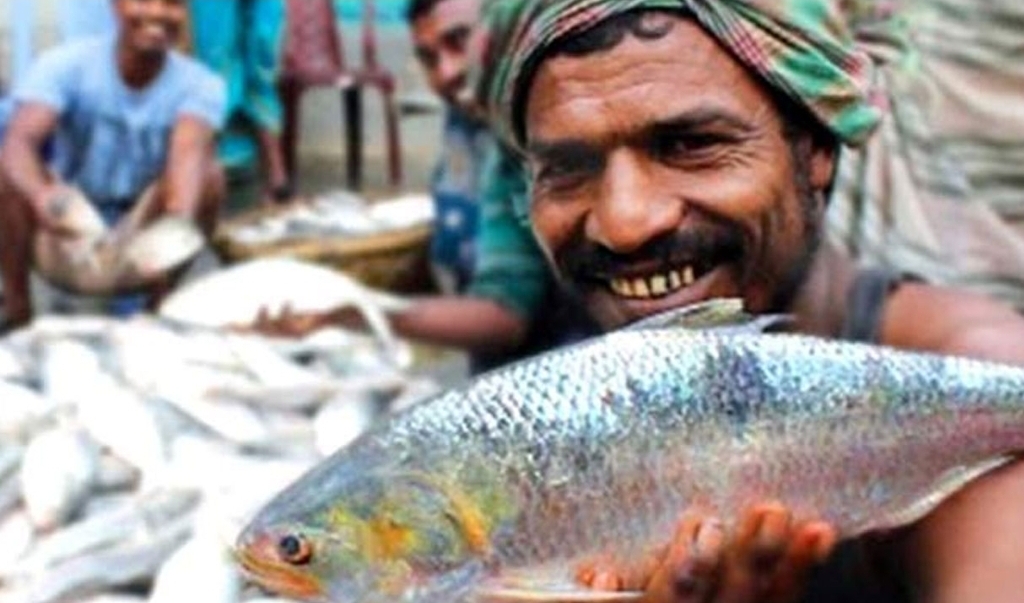 ১৩ অক্টোবর থেকে ৩ নভেম্বর ইলিশ ধরা নিষিদ্ধ