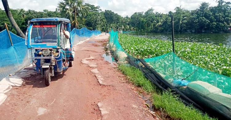 ফরিদগঞ্জ পৌরসভার মিরপুর রোডের বেহাল দশা