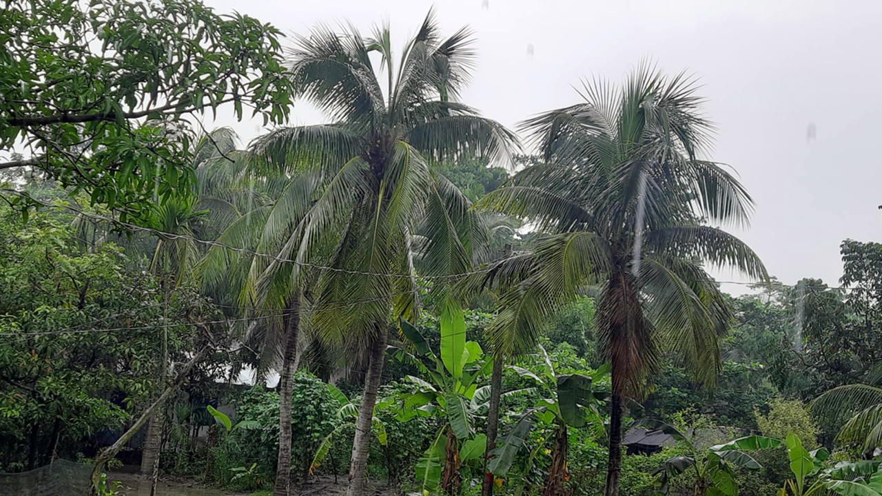 ঘূর্ণিঝড় ‘দানা’র প্রভাব : নোয়াখালীতে উপকূলজুড়ে থেমে থেমে বৃষ্টি