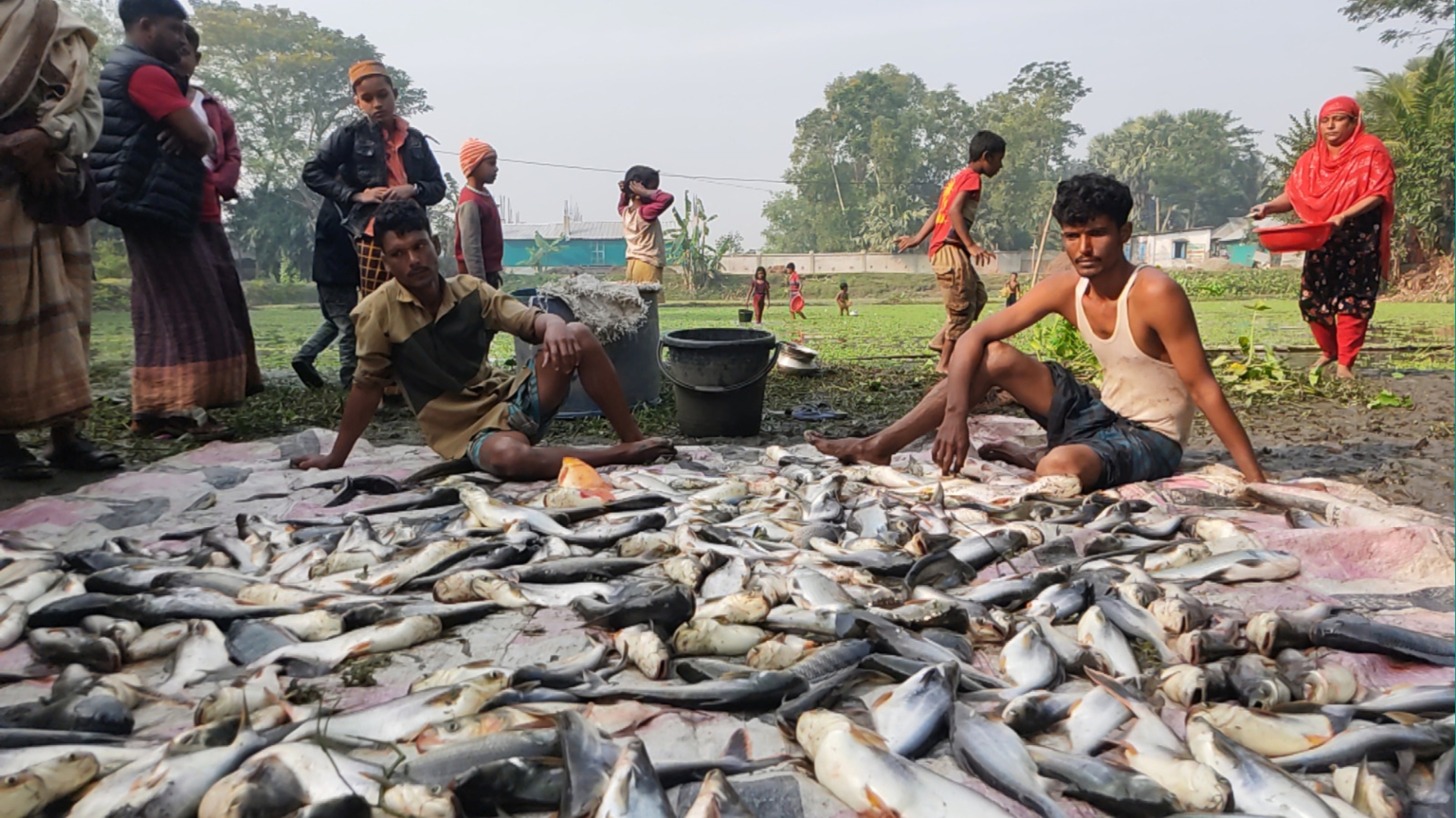 মাছের সাথে এ কেমন শত্রুতা!