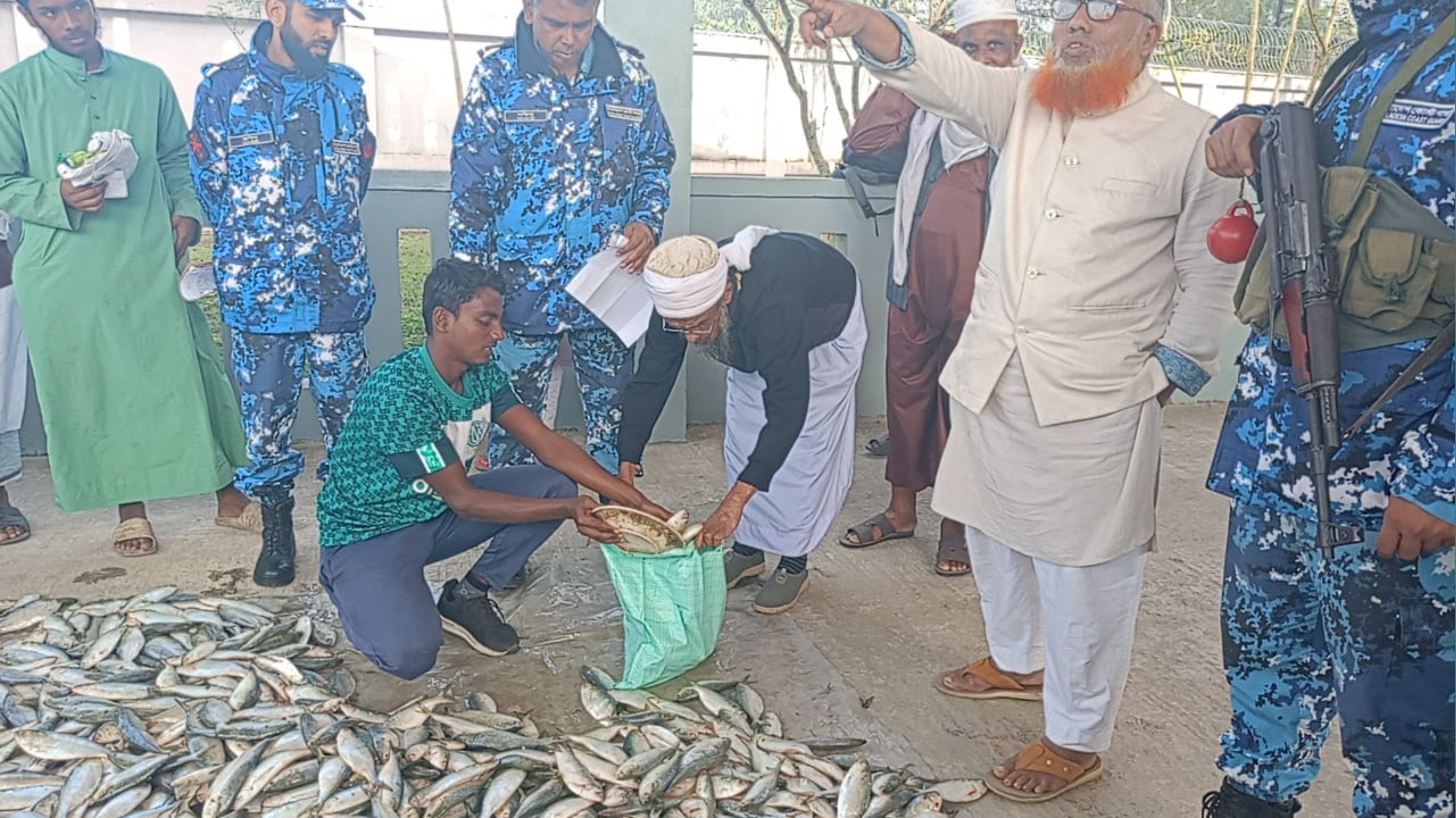 হাইমচরে কোস্টগার্ডের অভিযানে ১২শ' কেজি জাটকা জব্দ