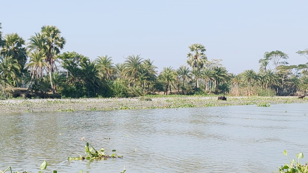 ইসলামে দেশপ্রেমের গুরুত্ব