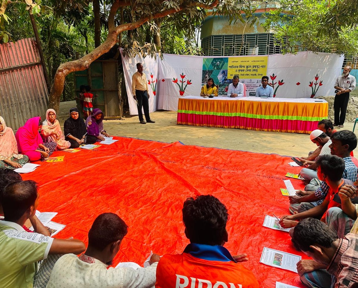 শাহরাস্তির কৃষকদের হাতেকলমে কৃষি প্রযুক্তি ব্যবহারে পার্টনার ফিল্ড স্কুল