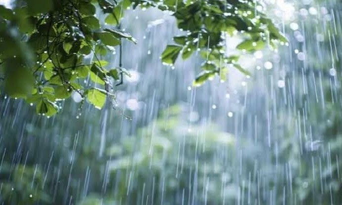 ১৪ জেলায় বৃষ্টি, সোমবার আরো বাড়তে পারে