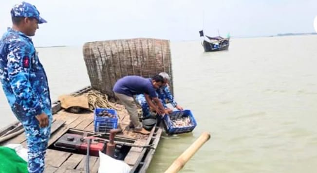 মেঘনায় পাঙ্গাসের পোনা নিধন : বিরাট চাঁইসহ ৩৫০ চায়না দুয়ারি জাল জব্দ