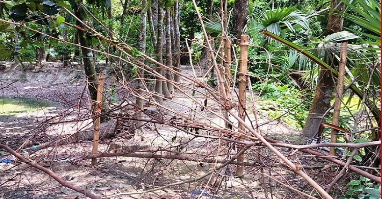 কচুয়ায় বেড়া দিয়ে রাস্তা বন্ধের অভিযোগ