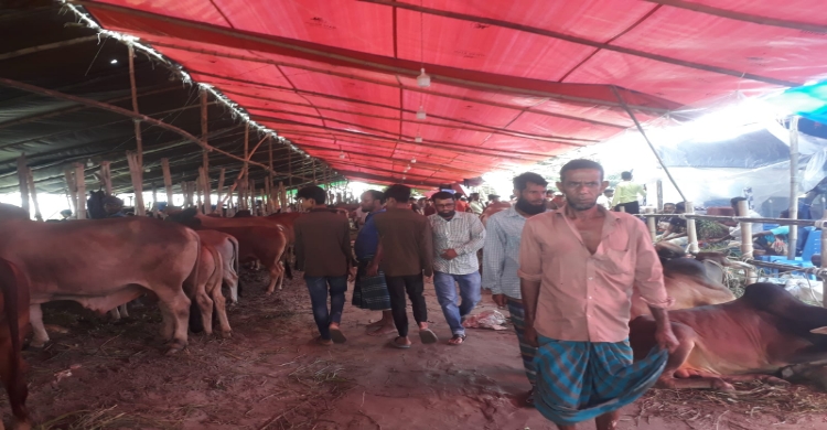শ্রীনগরে ক্রেতা-বিক্রেতার উপস্থিতিতে জমজমাট কোরবানির পশুর হাট