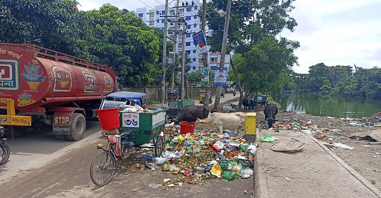ক্ষোভে ফুঁসছে এলাকাবাসী, শিক্ষার্থী, ব্যবসায়ী ও মসজিদের মুসল্লিরা